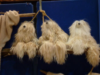 Yarn or Little Dogs?